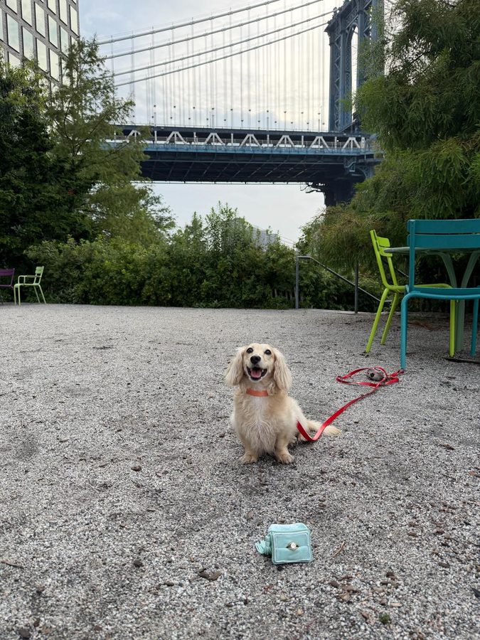 Charlie with the engagement ring under the Manhattan Bridge